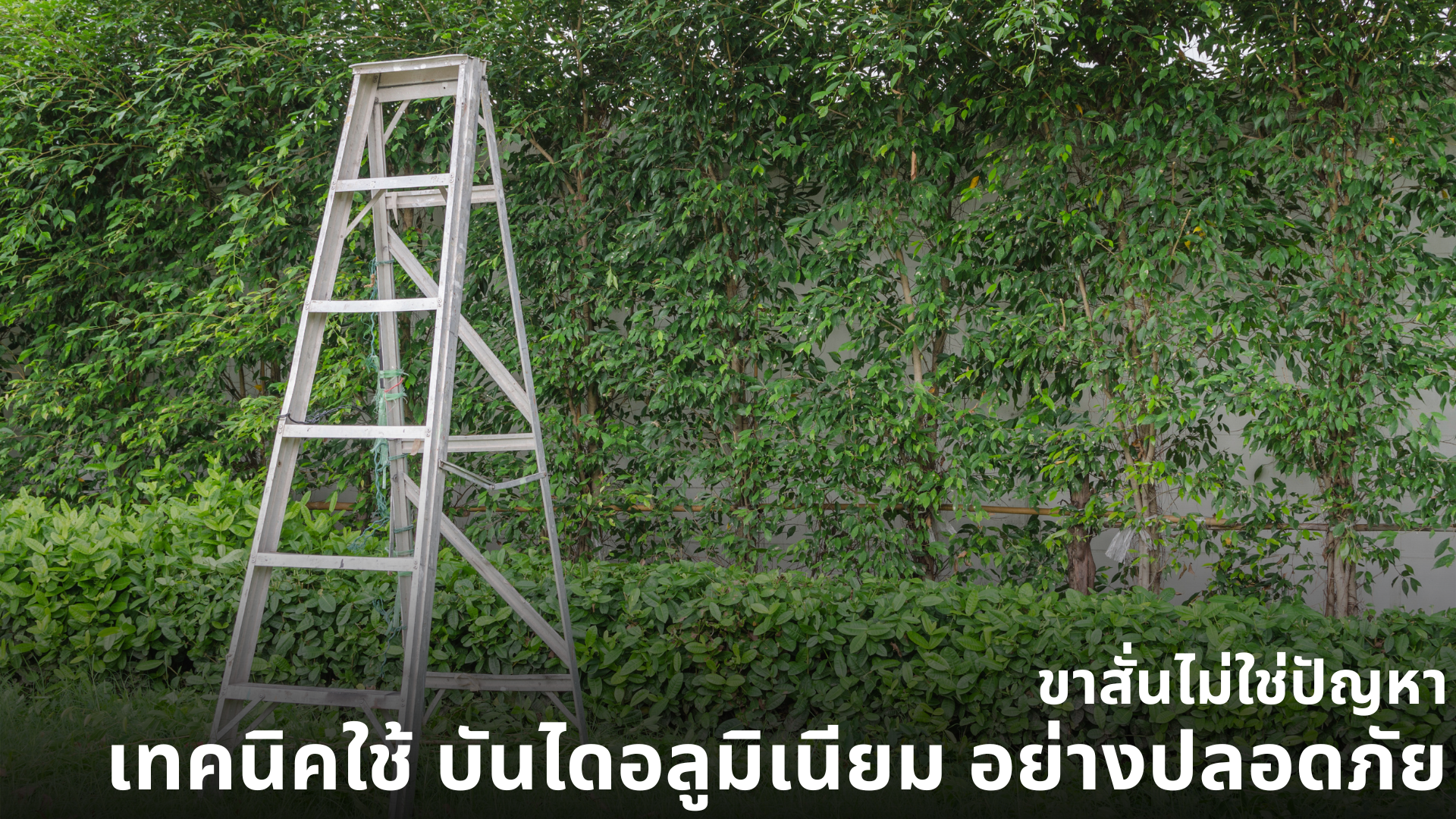 บันไดอลูมิเนียม